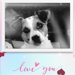 Meet your Posher, Phyllis